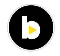 Begin Fit